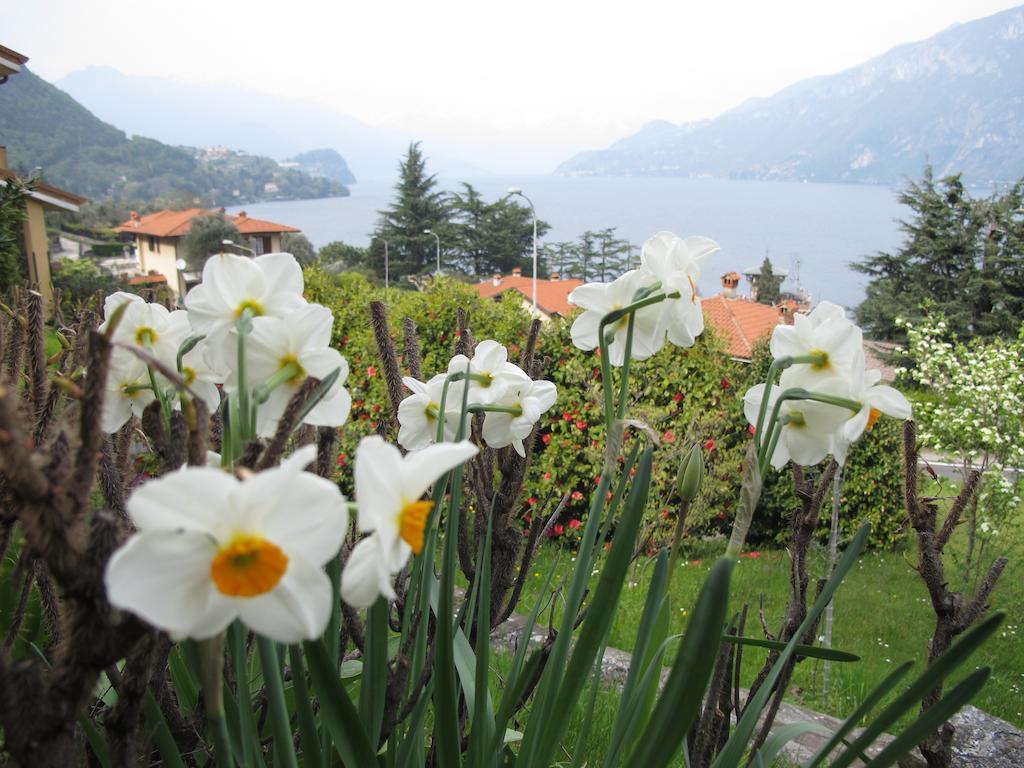 Villa Panorama Oliveto Lario Eksteriør billede